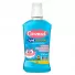 Carmed Enxaguante Bucal Frasco 250Ml Sabor Dentadura